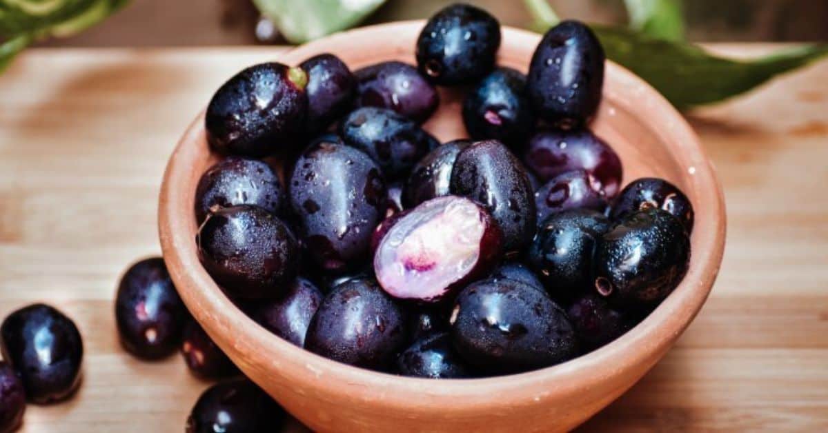 health benefits of indian blackberry