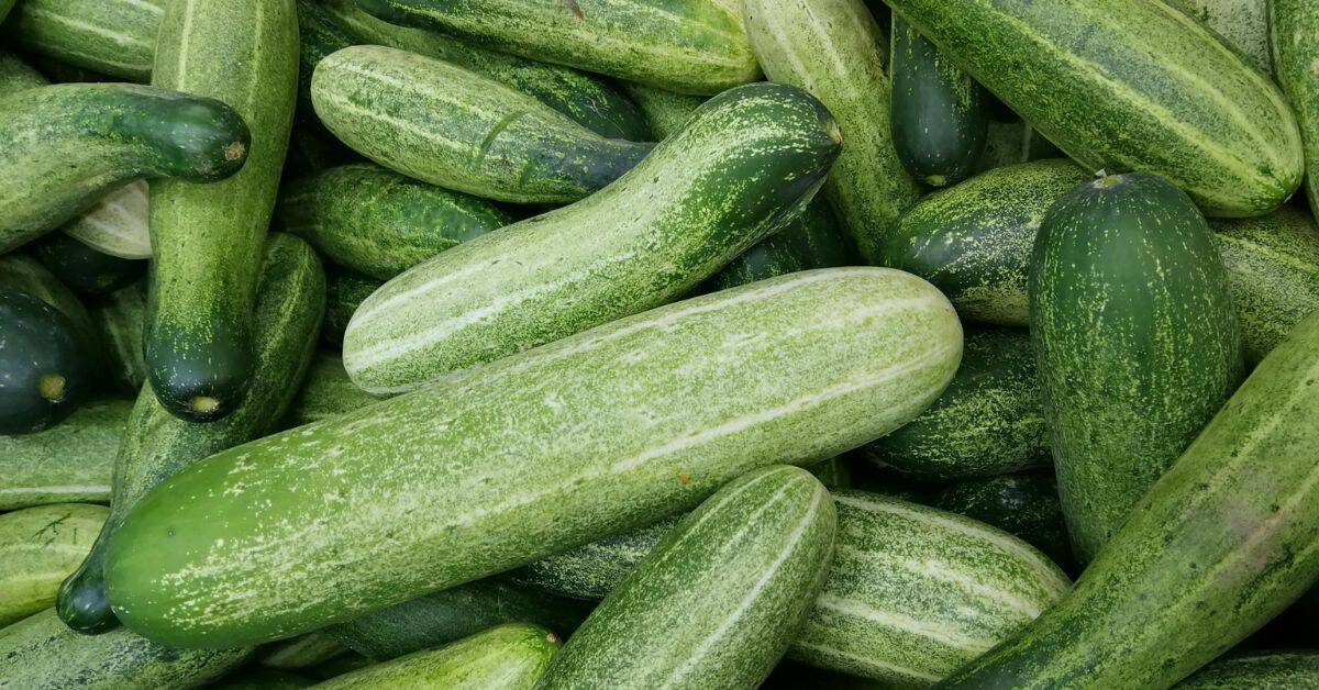 health benefits of cucumber