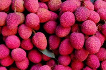 health benefits of litchi